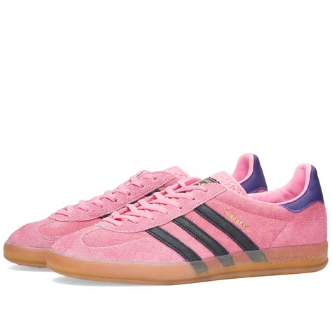 Gazelle Indoor .